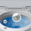 청사동물메디컬센타 이미지