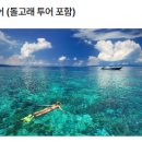 거북이여행사
