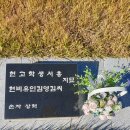 밀양박씨 규정공파 벌가문중 ( 상촌) 선산파묘 과정과 신 선산조성과정 정리 이미지