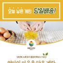 (주)에스이컴퍼니플러스