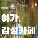 카페523 - 미추홀구 주염로 58 | 사당 카페 오쎄 식물로 가득한 공간이 좋았던 사당역 감성카페 내돈내산 후기