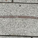 학운점 현대자동차 이미지