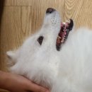 순애커피