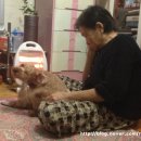 순돌뭐하니 이미지