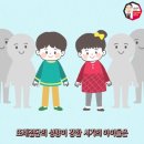 늘솔행복도장 이미지