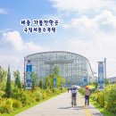 산호휴게매점 | 세종 가볼만한곳 국립세종수목원 실내 온실 피노키오