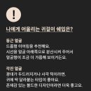 스너그제이