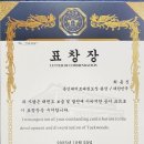 용인대 미르 태권도 이미지