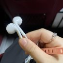 문화와 함께하는 여행 일본어 | 엄마랑 후쿠오카 여행(1)🌸 공항 셔틀 이용법 &amp; 명란덮밥 솔직후기