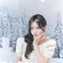 명화사진관 이미지