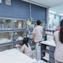 카라동물병원 이미지