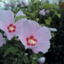 홍천향토사료관 이미지