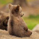 최지원 농장 | 소등하지 마세요