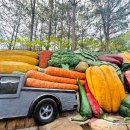 비행기조형물 | 진흙으로 만든 조형물 가득한 진흙공원 달랏 가볼 만한 곳 &#39;클레이 터널&#39;