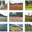 가평군청 2청사 (2층) 이미지