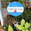 녹색이그리고기차