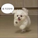 메타코미디클럽 홍대_메뉴 후기, 식사 메뉴 후기, 가라아게 후기, 주류 후기