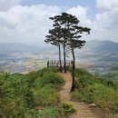 DMZ펀치볼둘레길_만대벌판길_21-1 티스토리