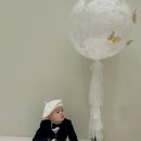 토브(TOV) 이미지