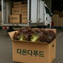 다온다푸드