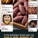 1230 제외1 이미지