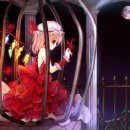 231프로젝트
