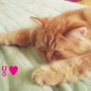 뭉뭉이네 이미지