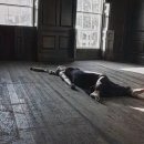 바른바디신경과의원 이미지