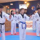 라이프 태권도장 네이버블로그