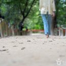 상림관광안내소 이미지