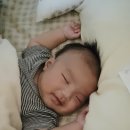 (주)대보유통 | 낮잠을 너무 잘자서 무서워요