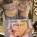 동백점핑다이어트