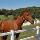 동화목장 이미지