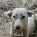 피식 - 여수시 | 피식