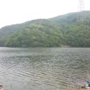 연곡지 Daum카페