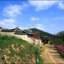 얼음골천마