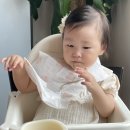 남경상사 | 속초 남경 막국수 &lt;동해 필수 코스 인생 막국수집 #들깨 막국수&gt;