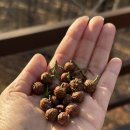 치유, 명상의 숲 | 거제 가볼만한 곳 아이와 함께한 숲체험 치유의 숲 예약방법 및 후기