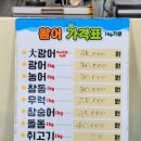 삼천포 용궁수산시장#8 이미지