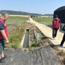 위전4리 이미지