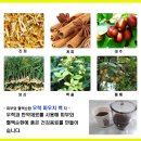 지리산미네 이미지