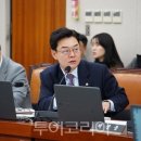 김성원 카카오 검색결과