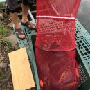 오동낚시터 이미지