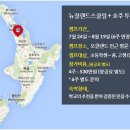 (주)투어캠프