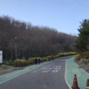 노을어린이공원 | 책 배달, 노을공원 하늘공원 꽃길 솔직 후기 봄꽃 개화