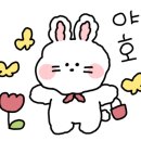 시즈더포슬 이미지