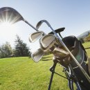 라헨느리조트(주) 이미지