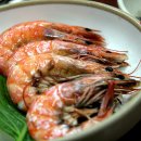 경북곰장어 이미지