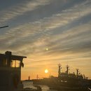 산호동138 | 두쫀쿠로 가득찬 26년