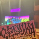 오늘도 무사히 콘서트4 | 부평 <오늘도 무사히> 공연 후기 (프롬올투휴먼/다섯/넬)